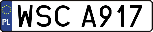 WSCA917