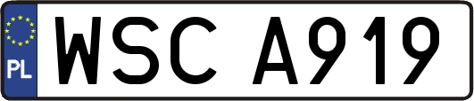 WSCA919