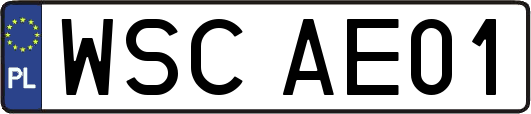 WSCAE01