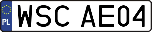 WSCAE04