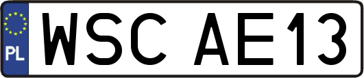 WSCAE13