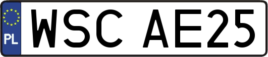 WSCAE25