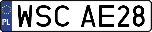WSCAE28