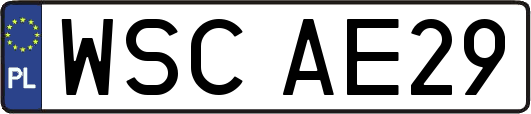 WSCAE29