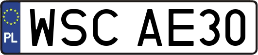 WSCAE30