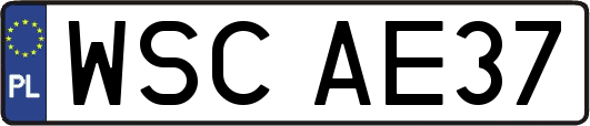 WSCAE37