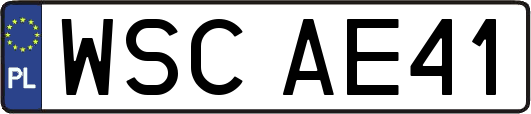 WSCAE41