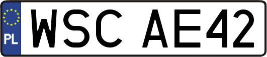 WSCAE42