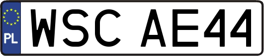 WSCAE44