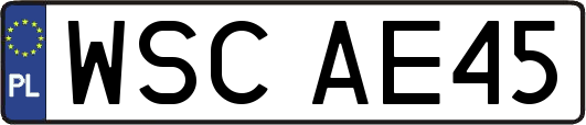 WSCAE45