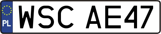 WSCAE47
