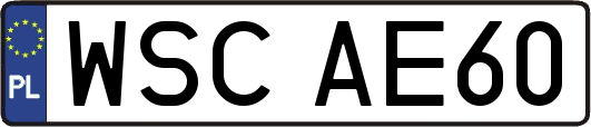 WSCAE60