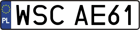 WSCAE61