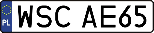 WSCAE65