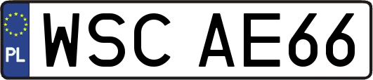 WSCAE66