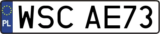 WSCAE73