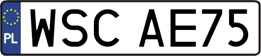 WSCAE75