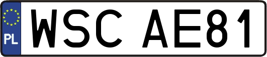 WSCAE81