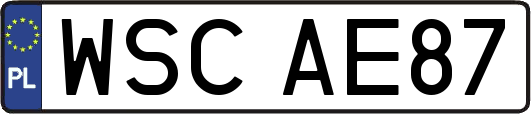 WSCAE87