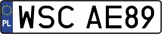 WSCAE89