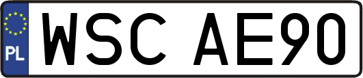 WSCAE90