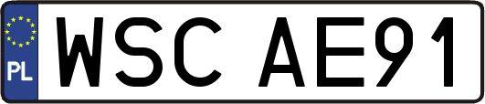 WSCAE91