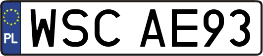 WSCAE93