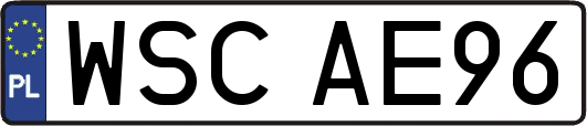 WSCAE96