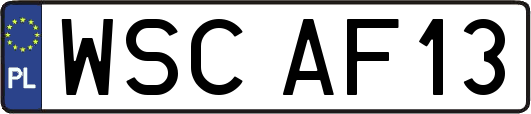 WSCAF13