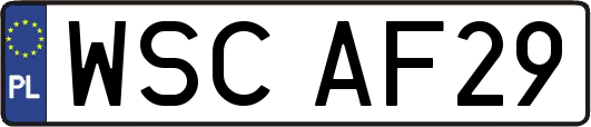 WSCAF29