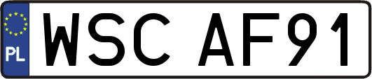 WSCAF91