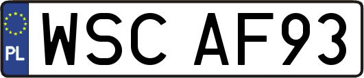 WSCAF93
