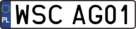 WSCAG01