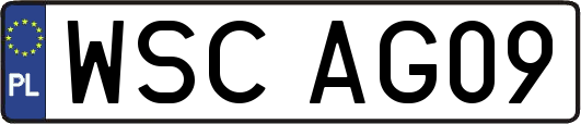 WSCAG09