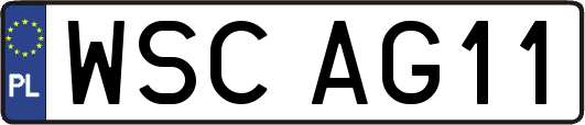 WSCAG11