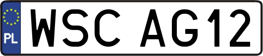 WSCAG12
