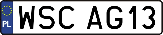 WSCAG13