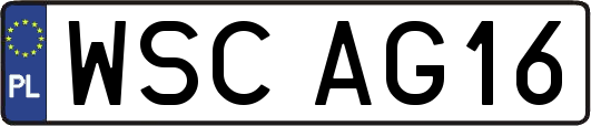 WSCAG16