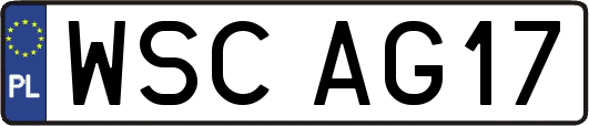 WSCAG17