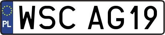 WSCAG19