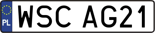WSCAG21