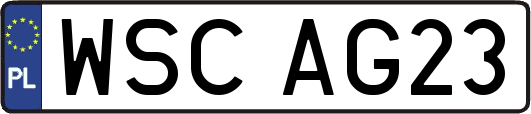 WSCAG23