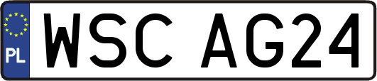 WSCAG24
