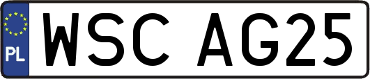 WSCAG25
