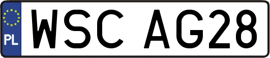 WSCAG28