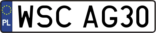 WSCAG30