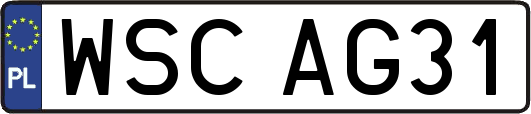 WSCAG31