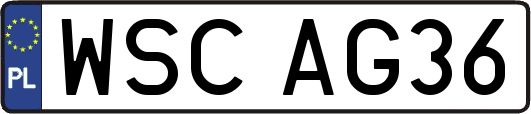 WSCAG36