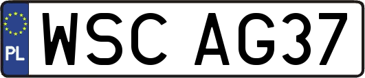 WSCAG37