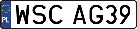 WSCAG39